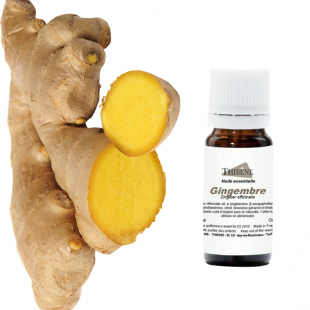 Gingembre