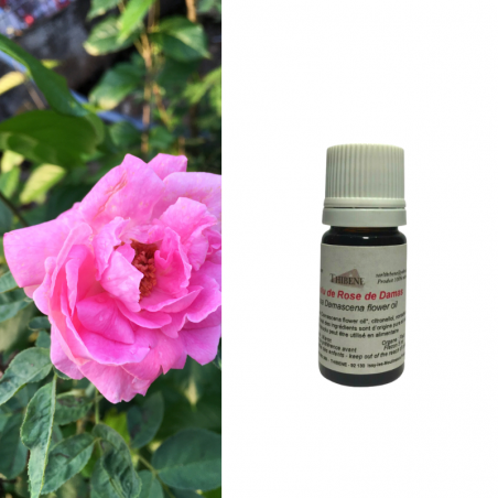 Absolu de rose de Damas