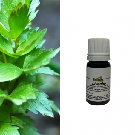 Livêche