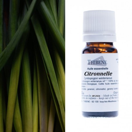 Citronnelle