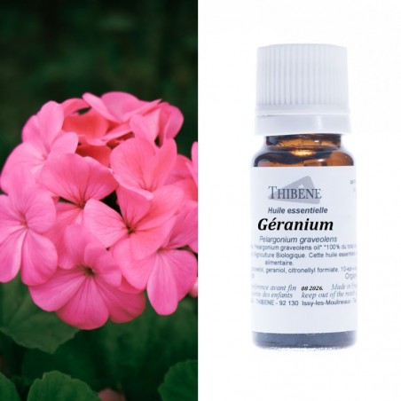 Géranium