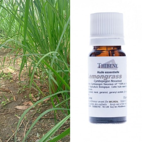 Lemongrass