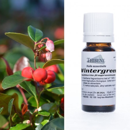 Wintergreen