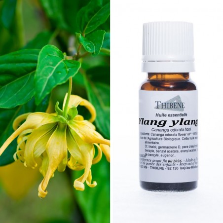 Ylang ylang extra